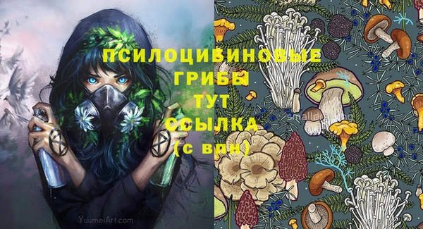 ешки Липки